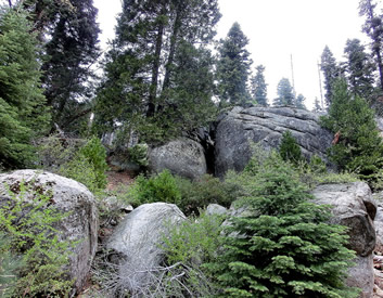 Kings Canyon rock landscape