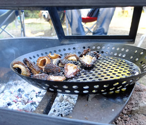 black morels in grill pan