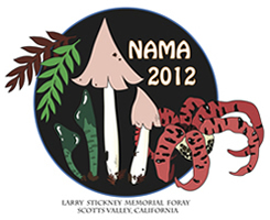 NAMA Annual Foray