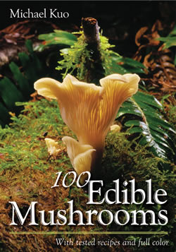 edible mushrooms, kuo