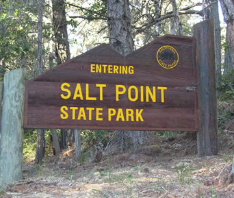 Entering Salt Point State Park