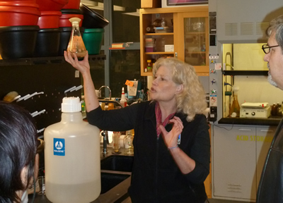 Dr. Glass holds beaker of Neurospora crassa