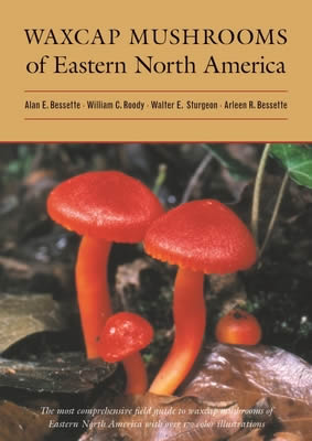waxcap mushrooms of north america, bessette