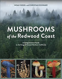 Mushrooms of the Redwood Coast